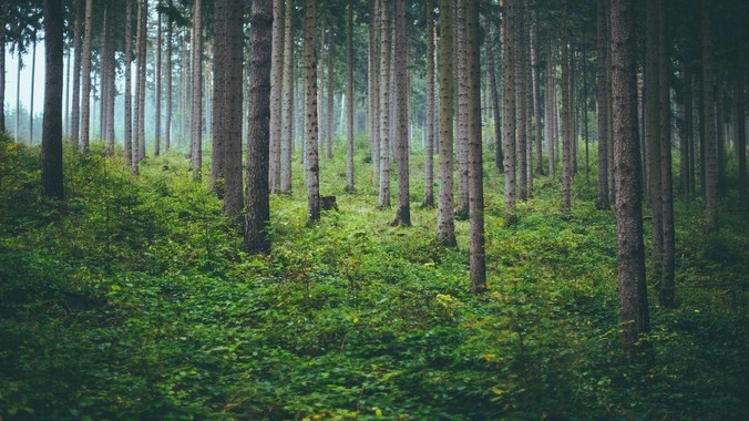 消息称腾讯内测QClaw一键启动包:支持微信QQ双端接入OpenClaw智能体